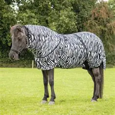QHP ECZEEMDEKEN ICELANDIC Zebra bij De Kroo Ruitersport