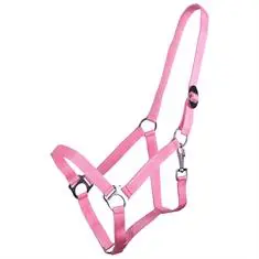 QHP HALSTER BASIC MET SCHUIF Roze bij De Kroo Ruitersport