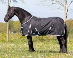 QHP regendeken turnout XL speciaal voor Friese of barokke paarden 0gr bij Ruitersport.com (Almar)