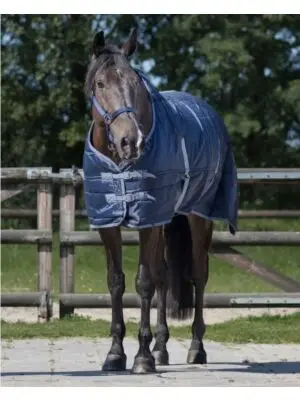 QHP Staldeken Start 150gr Donkerblauw bij Ruiterstad