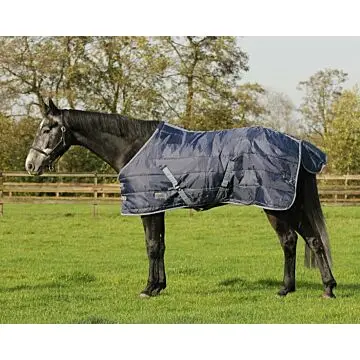 QHP Staldeken Start 300 gram Donkerblauw bij Equidrome