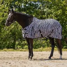 QHP VLIEGENDEKEN Zebra bij De Kroo Ruitersport
