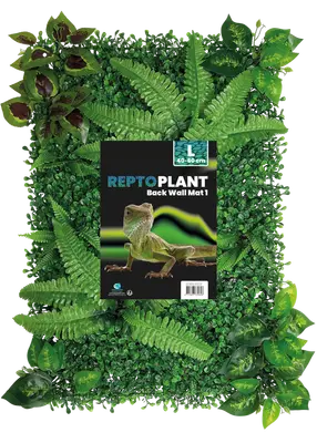 Repto - Plant achterwand 60 x bij Reptika Reptiles