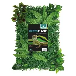 REPTO Plant Achterwand Mat 40x60cm 1 bij De Kammieshop
