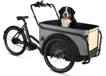 Royal Cargo Bike 3W Premium Plus Dog - taupe grijs - elektrische driewieler hondenbakfiets bij Fietsoptimaal