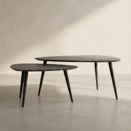 Salontafel set van 2 peervormig organisch bij LUMZ