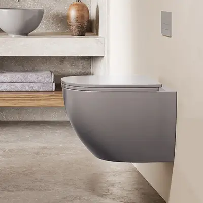 Saniclear Itsie mat grijze toiletpot randloos met softclose zitting bij Sanitairkamer