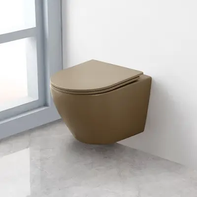 Saniclear Itsie taupe toiletpot randloos met softclose zitting bij Sanitairkamer