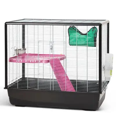 Savic Knaagdierkooi Zeno 2 L 80 x B 50 x H 70 cm bij Bitiba