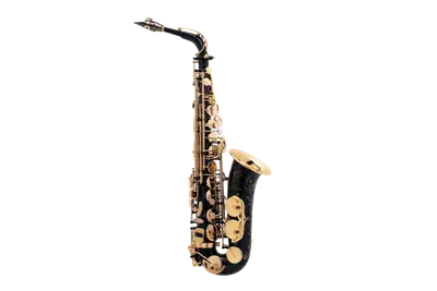 Selmer SA80II Altsaxofoon Black bij Music All In
