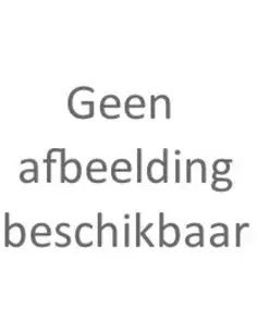Semi-akoestisch gitaar bij Schreeven Muziekinstrumenten