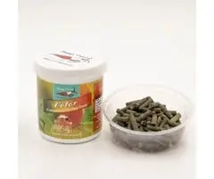 Shrimps forever color bij OnlineAquariumSpullen