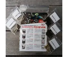Shrimps Forever probeerpakket bij OnlineAquariumSpullen