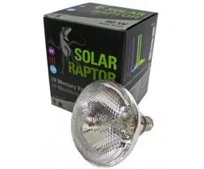 Solar Raptor 80 Watt Kwikdamplamp bij Blue Lagoon