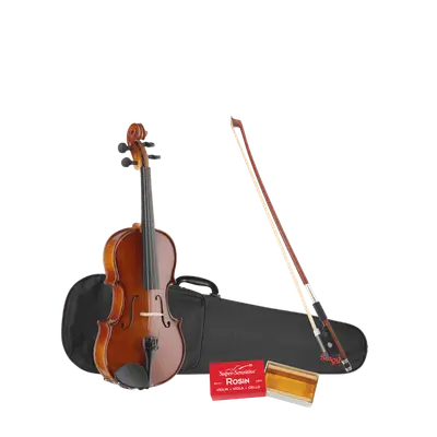 Stagg VN-1/4 Viool Massief Esdoorn bij Music All In