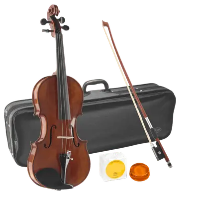 Stagg VN-4/4 HG viool starterset Deluxe bij Music All In
