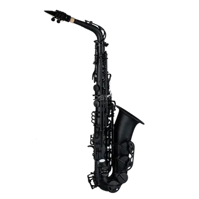 Stalaxy "Eclipse" Altsaxofoon Zwart bij Music All In