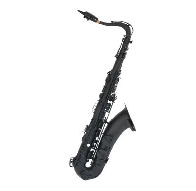 Stalaxy "Eclipse" Tenorsaxofoon Zwart bij Music All In