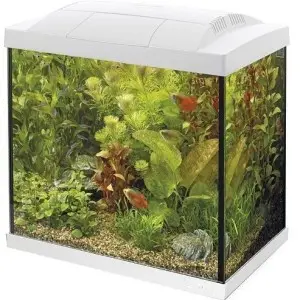 Start 50 LED Tropical Kit Wit bij Ocean and Lake
