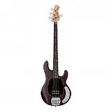 Sterling by Music Man - StingRay Ray 4 Bas Walnut Satin Basgitaar bij Meibergen (Almelo)