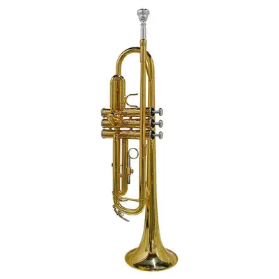 Stewart Ellis SE-1800-L Pro Series trompet goudlak incl. softcase bij VDS Instrumenten
