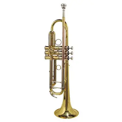 Stewart Ellis SE-2400-L Pro Series trompet goudlak incl. softcase bij VDS Instrumenten