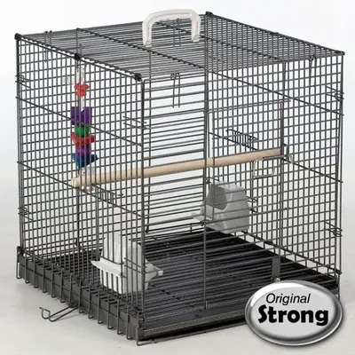 STRONG Traveler - Papegaaienkooi bij Welkoop