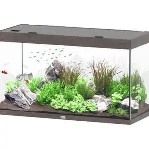 Sublime 120×50 Aquarium Donkerbruin bij Ocean and Lake