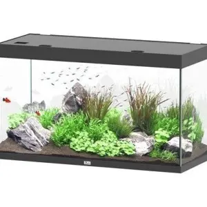 Sublime 120×50 Aquarium Zwart bij Ocean and Lake