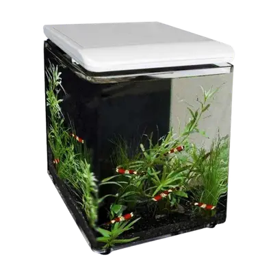Superfish Aquarium Home 8 bij Aquaria Pura