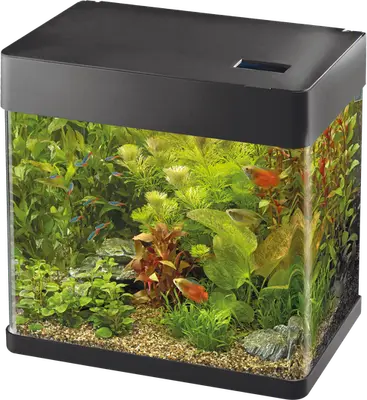 SuperFish aquarium Panorama bij Aquaria Pura