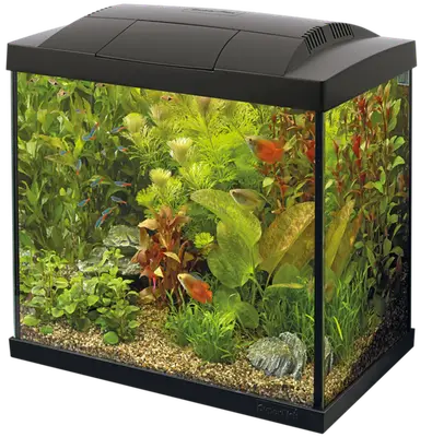 SuperFish Aquarium Start kit 20 - 150 L zwart/wit bij Aquaria Pura