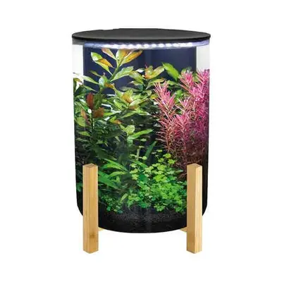 Superfish Orbiq 11 Design Cilinder Aquarium op Bamboe Basis bij Aquaria Pura
