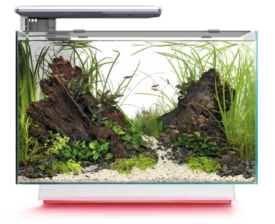 Superfish Quadro Multi Colour Aquarium bij Aquaria Pura