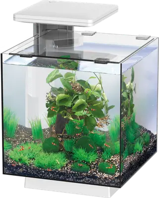 Superfish QubiQ Aquarium bij Aquaria Pura