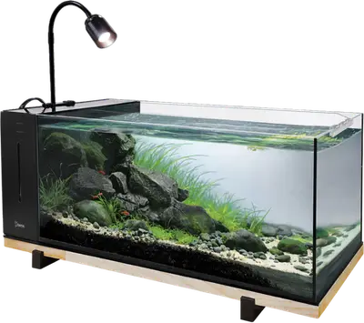 Superfish River Aquarium 60 bij Aquaria Pura