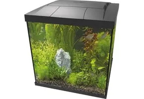 Superfish Start 60 Qube Kit Zwart bij AquastoreXL