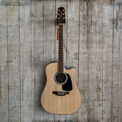 Takamine semi-akoestische gitaar - Massief - Naturel bij Gooise-Gitaren