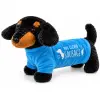 Teckel (You Clever Sausage) Pluche Knuffel Hond 30 cm bij TopKnuffels
