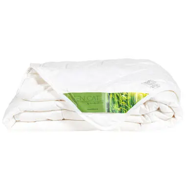Ten Cate Dekbed - Zomerdekbed 200x200 - Dekbedden - Bamboe - Verkoelend Dekbed bij Leen Bakker