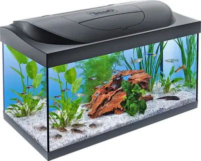 Tetra Aquarium Starterline 54L bij Aquariumplantenshop