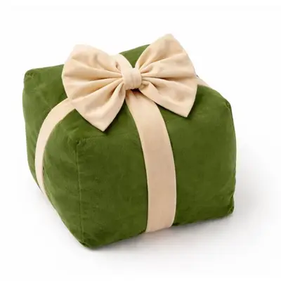 Textino sierkussen Cuddle Giftbox 20x20x18cm bronze green bij Textielhuis