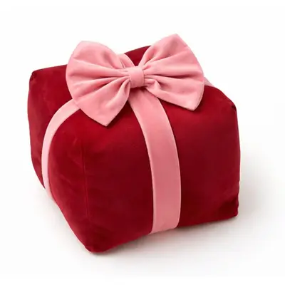 Textino sierkussen Cuddle Giftbox 20x20x18cm peony bij Textielhuis