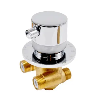 Thermostatische Mengkraan voor inbouw Douchepaneel Chroom 1/2 DN15 bij SaniSupreme