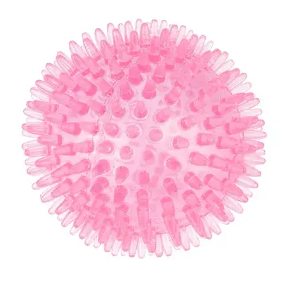 TIAKI Hondenspeelgoed Stekelbal Ø 8,3 cm bij Bitiba