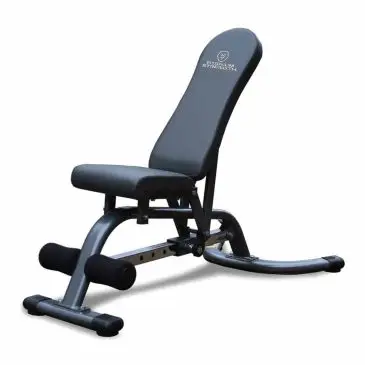 Titanium Strength verstelbare en kantelbare Dxe FID-halterbank 180DB bij Titanium Strength