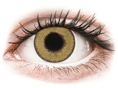 TopVue Daily Color - Pure Hazel - daglenzen zonder sterkte (2 lenzen) bij Alensa