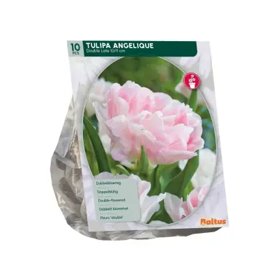 Tulipa Angelique 10 stuks bloembollen Baltus bij Warentuin