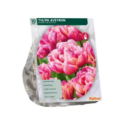 Tulipa Aveyron 10 stuks bloembollen Baltus bij Warentuin