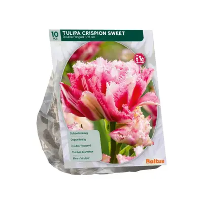 Tulipa Crispion Sweet 10 stuks bloembollen Baltus bij Warentuin